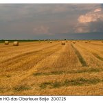 Hörne, Gellertweg 20.07.25