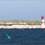Düne Helgoland  120815-054