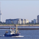 Kutter vor Döse 120815-251