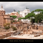 Rom Forum Romanum, Nov. 2010
