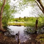 24.05.21  Finkenmoor