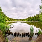 29.05.21  Finkenmoor