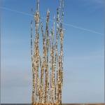 Wattenmeer-Besucherzentrum 25.10.15