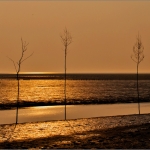 Spieka-Neufeld ... 03.10.14