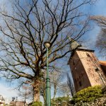 21.02.21 Lüdingworth