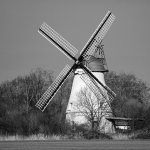 21.02.21, Lüdingworth BETTY
